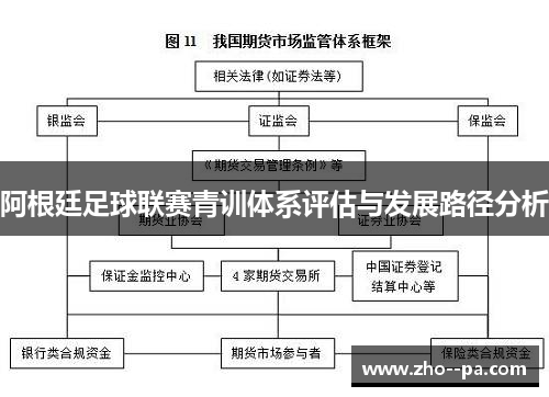 阿根廷足球联赛青训体系评估与发展路径分析